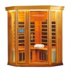   Wellness LH-908DH 4-  